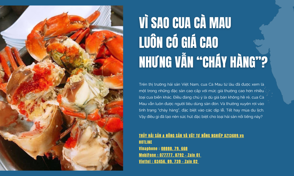 Vì sao Cua Cà Mau luôn có giá cao nhưng vẫn “cháy hàng”?