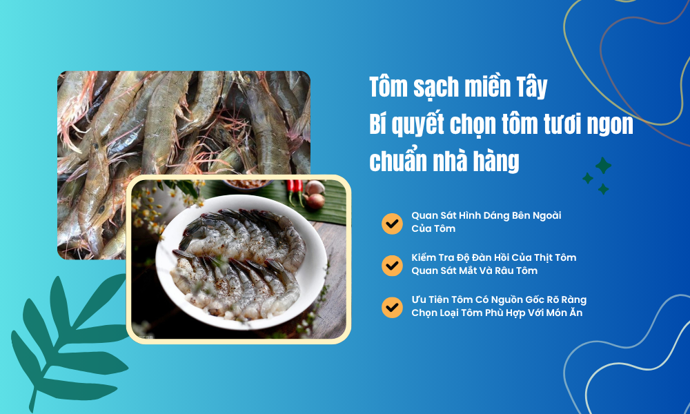 Tôm sạch miền Tây: Bí quyết chọn tôm tươi ngon chuẩn nhà hàng